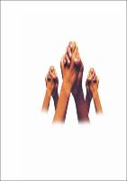 Dissertacao Joao Rocha.pdf.jpg