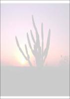 Dissertacao completa Biblioteca - Tatiana.pdf.jpg