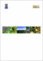 Dissertação Final_Fernando Flores.pdf.jpg