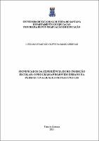 DISSERTAÇÃO  MASCARENHAS, LUCIANA.pdf.jpg