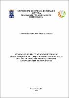 DISSERTAÇÃO- LEONARDO DA CUNHA MENEZES SOUZA.pdf.jpg