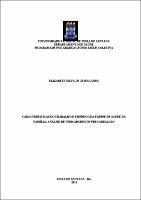 DISSETACÃO - Elizabete Silva de Jesus Lopes - 2013.pdf.jpg