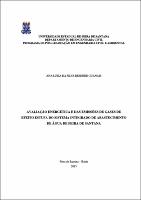 dissertação Ana Luiza Guanais.pdf.jpg