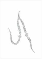 Dissertação -Taiara Aguiar Caires.pdf.jpg