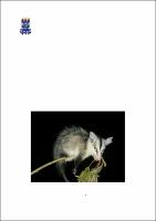 Dissertação Mônica Abreu.pdf.jpg