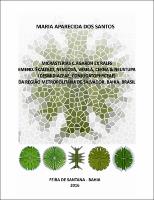 DISSERTAÇÂO_Maria AparecidadosSantos.pdf.jpg