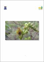 Dissertação_Bárbara_Versão Final.pdf.jpg