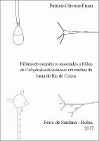 Tese Patricia Fiuza_PDF.pdf.jpg