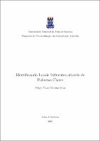 Dissertação Final - Felipe Pains.pdf.jpg