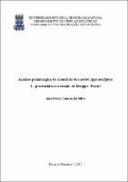 Dissertação_Ana Paula.pdf.jpg