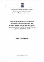 Dissertação_Wagner Pereira.pdf.jpg