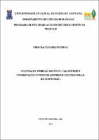 Dissertação_Priscila Tavares.pdf.jpg
