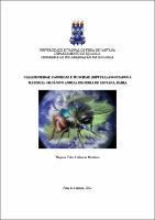 Dissertação_Thayana Teles.pdf.jpg