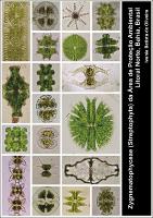 Tese final para cd.pdf.jpg