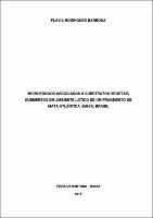 TESE FLAVIA PDF.pdf.jpg