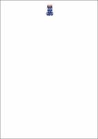 DISSERTAÇÃO VERSÃO FINAL - CÍNTIA.pdf.jpg