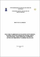 Tese_BRuno SIlva.pdf.jpg