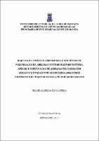 Dissertação_Geane.pdf.jpg