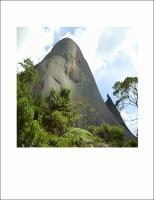 Lorena Tereza da Penha SilvaDissertacao.pdf.jpg