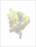 dissertacaoMarina - versaofinal.pdf.jpg