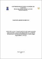 Disseratação_Marciene Amorim Rodrigues.[1].pdf.jpg