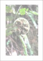 Dissertação_Taís Soares Macedo.pdf.jpg