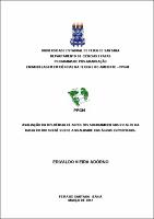 20130714_Dissertacao_mestrado_erivaldo_adorno.pdf.jpg