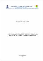 dissertação_Ricardo PAcheco.pdf.jpg