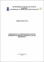 Santa_Rosa_2010  Dissertação.pdf.jpg