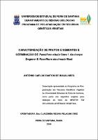 10acm-dissertacao-completa-24-02-2010.pdf.jpg