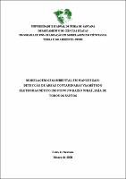 Dissertacao - Luiz Artur dos Santos da Silva.pdf.jpg