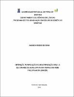 9amanda-reges-dissertacao-completa-25-02-2010.pdf.jpg