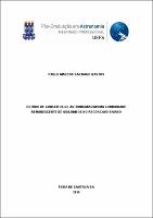 Dissertacao14.02.2020.pdf.jpg