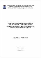 elementos pre textuais finais 8-04-10_welber-mesclado.pdf.jpg