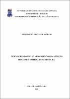DISSERTAÇÃO VERSAO FINAL KAIO ANDRADE.pdf.jpg