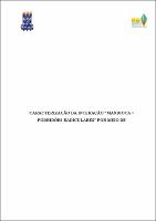 Tese_Camila Santiago Hohenfeld_2020.pdf.jpg