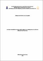 Marins, Midian Jesus de Souza - Dissertação.pdf.jpg