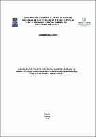 DISSERTAÇÃO - RODRIGO MORTARI.pdf.jpg