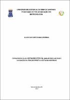 LILIAN DOS SANTOS MASCARENHAS - Dissertacao.pdf.jpg