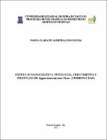 Dissertacao - Maria_Clara_de Almeida Lima Rocha.pdf.jpg