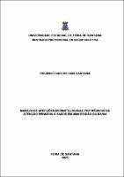 Roudinei Carlos Dias Santana - Dissertação.pdf.jpg