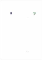 JAILZA TAVARES DE OLIVEIRA SILVA - Tese.pdf.jpg