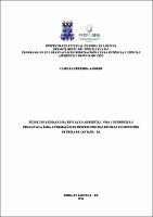 Amorim, Camilla Ferreira - Dissertação.pdf.jpg