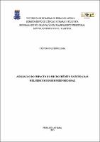 CRISTIANO QUEIROZ LIMA - Dissertação.pdf.jpg