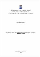 LARISSA SOUZA SILVA - DISSERTAÇÃO.pdf.jpg