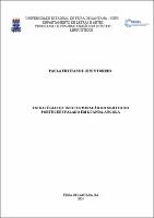 PAULA FREITAS DE JESUS TORRES - Tese.pdf.jpg