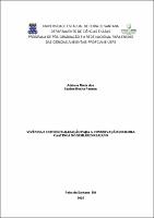 Adriana Maria dos Santos Rocha Passos - DISSERTACAO.pdf.jpg