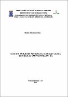 Mivânia Oliveira da Silva - DISSERTACAO.pdf.jpg