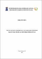 ERIKA PINTO SILVA - Dissertação.pdf.jpg