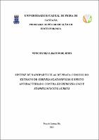 VINÍCIUS SILVA BASTOS DE JESUS - DISSERTACAO.pdf.jpg